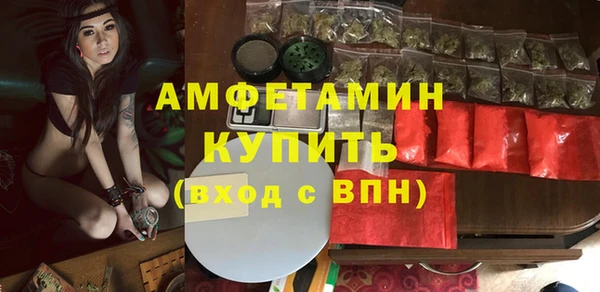 индика Алзамай